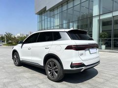 BYD Song Pro New Energy DM-i 51km Luxury - ფოტო 4