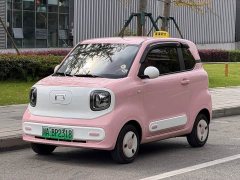 FAW Besturn Xiaoma 170km Vitality Edition - ფოტო 1