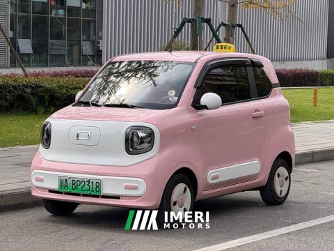 2024 FAW Besturn Xiaoma 170km Vitality Edition - ავტომობილი ჩინეთიდან