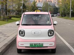 FAW Besturn Xiaoma 170km Vitality Edition - ფოტო 2