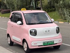 FAW Besturn Xiaoma 170km Vitality Edition - ფოტო 3