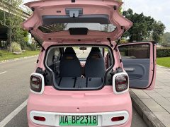 FAW Besturn Xiaoma 170km Vitality Edition - ფოტო 9
