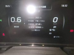 Trumpchi Yingbao 270T DCT J15 - ფოტო 13