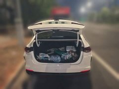Trumpchi Yingbao 270T DCT J15 - ფოტო 20