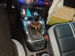 Volkswagen T-ROC Tanyue 300TSI DSG FWD Chenguang Edition - ფოტო 10