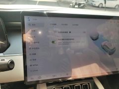 BYD Song L EV 550km Excellence Edition - ფოტო 20