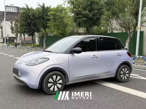 2025 Wuling Binguo 410km Lingxi Premium Edition - car from China