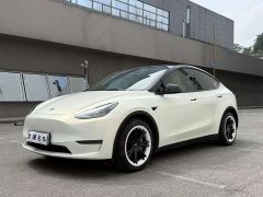 Tesla Model Y Long Range All-Wheel Drive 3D7 - ფოტო 1
