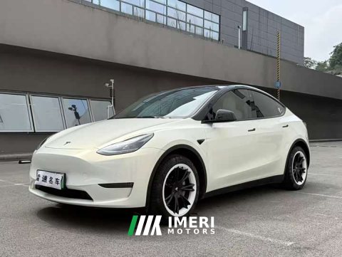 2021 Tesla Model Y Long Range All-Wheel Drive 3D7 - car from China