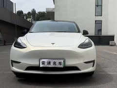 Tesla Model Y Long Range All-Wheel Drive 3D7 - ფოტო 2