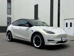 Tesla Model Y Long Range All-Wheel Drive 3D7 - ფოტო 3