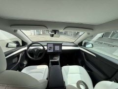 Tesla Model Y Long Range All-Wheel Drive 3D7 - ფოტო 6