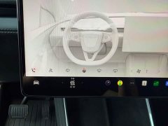 Tesla Model Y Long Range All-Wheel Drive - ფოტო 10