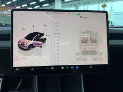 Tesla Model Y Long Range All-Wheel Drive - ფოტო 9