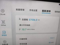 BYD e2 Luxury - ფოტო 13