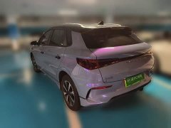 BYD e2 Luxury - ფოტო 4