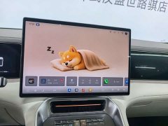 Denza BYD Denza N8L Flagship - ფოტო 18