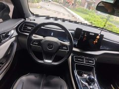 BYD Qin Plus 2021 DM-i 120KM Luxury - ფოტო 11