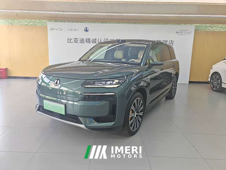 Denza BYD Denza N9 Flagship - ავტომობილი ჩინეთიდან