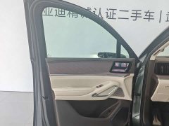 Denza BYD Denza N9 Flagship - ფოტო 13