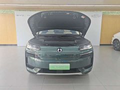 Denza BYD Denza N9 Flagship - ფოტო 3