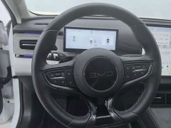 BYD Dolphin 06 DM-i Touring DM-i 150KM Flagship - ფოტო 15
