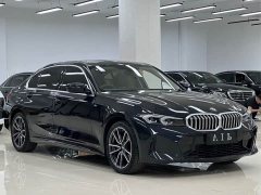 BMW 3 Series 320Li M Sport Package - ფოტო 17