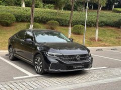Volkswagen Passat 330TSI Starry Sky Luxury Edition - ფოტო 3