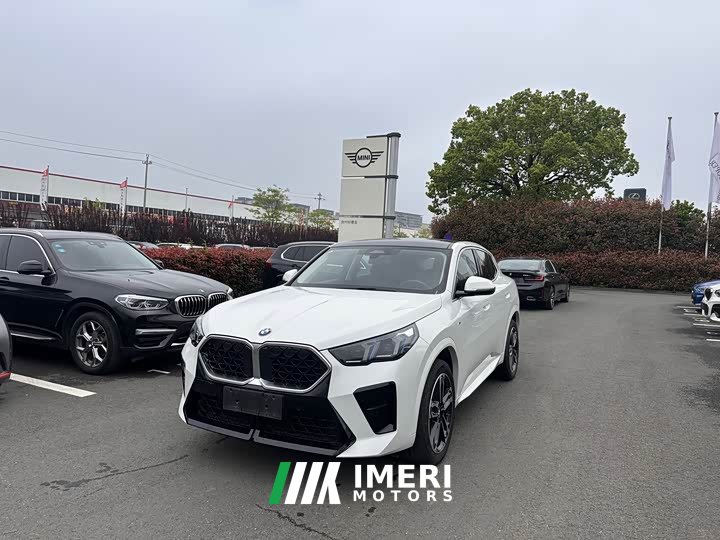 BMW X2 (Imported) 2024 sDrive25i M Sport Package - ავტომობილი ჩინეთიდან