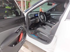 Geely Boyue 1.5TD Longteng Edition - ფოტო 12