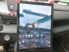 Geely Boyue 1.5TD Longteng Edition - ფოტო 9