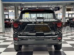 Haval Big Dog PLUS New Energy Hi4 150km Trendy EV Edition - ფოტო 8