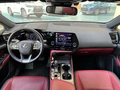 Lexus NX New Energy 400h Comfort Edition - ფოტო 16