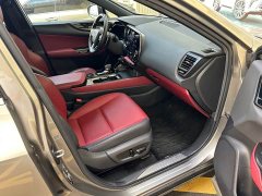 Lexus NX New Energy 400h Comfort Edition - ფოტო 19