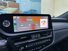 Lexus ES 2022 300h Excellence Edition - ფოტო 10