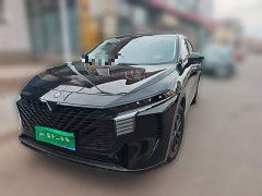 Nissan Karry Daway V 260T Xinxing Xi Edition Pro - ფოტო 1