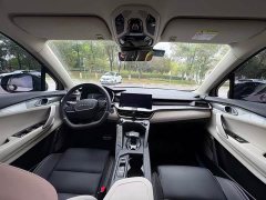 Lynk & Co Geely Lynk & Co 06 2021 1.5T Shero Pink Special Edition - ფოტო 6
