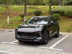 Dongfeng Fengxing T5 EVO 1.5TD DCT Glory Edition - фото 1