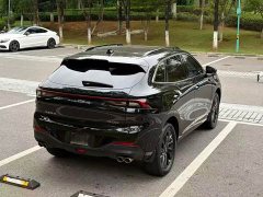 Dongfeng Fengxing T5 EVO 1.5TD DCT Glory Edition - фото 15