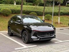 Dongfeng Fengxing T5 EVO 1.5TD DCT Glory Edition - фото 3