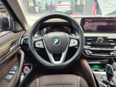 BMW 5 Series 530Li Premier Luxury Package - ფოტო 6
