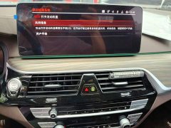 BMW 5 Series 530Li Premier Luxury Package - ფოტო 9