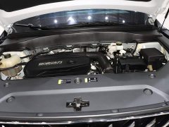 GAC Aion GS8 2025 Pioneer Series 2.0T GDI FWD Luxury 5-Seater - ფოტო 19