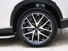 GAC Aion GS8 2025 Pioneer Series 2.0T GDI FWD Luxury 5-Seater - ფოტო 20