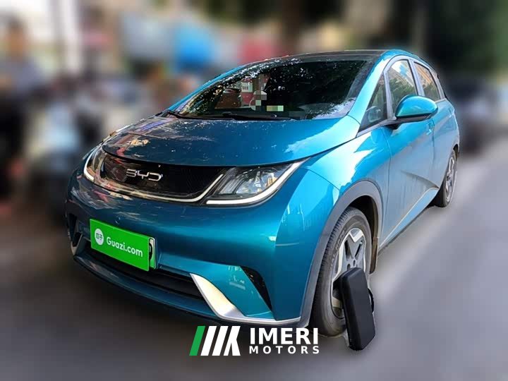 BYD Dolphin 405km Fashion Edition - ავტომობილი ჩინეთიდან