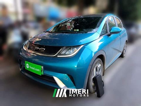 2022 BYD Dolphin 405km Fashion Edition - ავტომობილი ჩინეთიდან