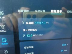 BYD Dolphin 405km Fashion Edition - ფოტო 13