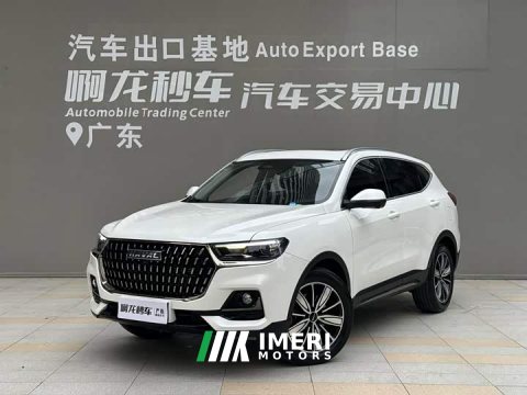 2024 Haval H6 2023 National Trend Edition 1.5T Automatic Champion Version - ავტომობილი ჩინეთიდან