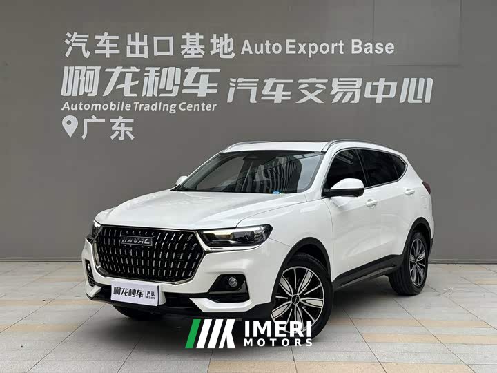 Haval H6 National Trend Edition 1.5T Automatic Champion Version
