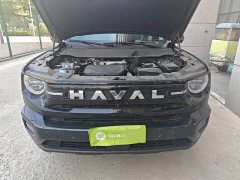 Haval Big Dog PLUS 2026 1.5T Trendy Edition - ფოტო 16